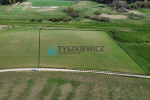 Działka na sprzedaż 12200m2 bytowski Tuchomie Nowe Huty - zdjęcie 3