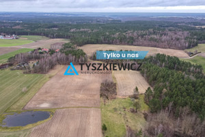 Działka na sprzedaż 9543m2 wejherowski Luzino Dąbrówka Brzozowa - zdjęcie 1