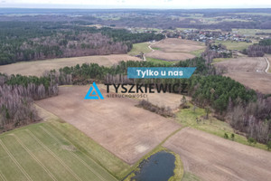 Działka na sprzedaż 10104m2 wejherowski Luzino Dąbrówka Brzozowa - zdjęcie 1