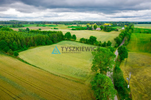 Działka na sprzedaż 7800m2 kościerski Kościerzyna Dąbrówka - zdjęcie 2