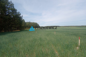 Działka na sprzedaż 1030m2 starogardzki Kaliska Dąbrowa - zdjęcie 1