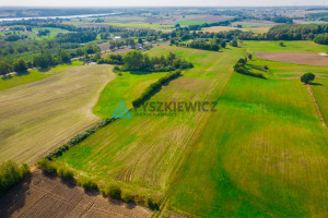 Działka na sprzedaż 64386m2 kościerski Nowa Karczma Grabowo Kościerskie - zdjęcie 3