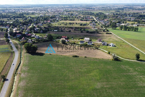 Działka na sprzedaż 4219m2 gdański Pruszcz Gdański Rokitnica Ogrodowa - zdjęcie 3