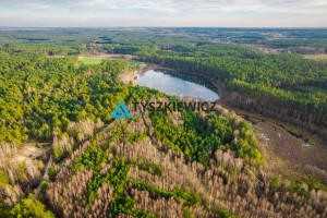 Działka na sprzedaż kościerski Stara Kiszewa Lipy - zdjęcie 1