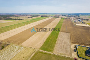 Działka na sprzedaż 60000m2 słupski Damnica Stara Dąbrowa - zdjęcie 2