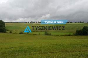 Działka na sprzedaż 11519m2 kościerski Liniewo - zdjęcie 1