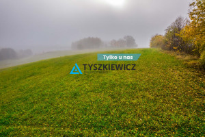 Działka na sprzedaż 11519m2 kościerski Liniewo - zdjęcie 1