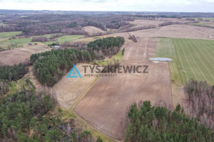 Działka na sprzedaż 2457m2 wejherowski Luzino Dąbrówka Brzozowa - zdjęcie 2