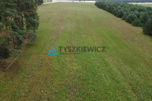 Działka na sprzedaż 35700m2 bytowski Czarna Dąbrówka Brzezinka - zdjęcie 3