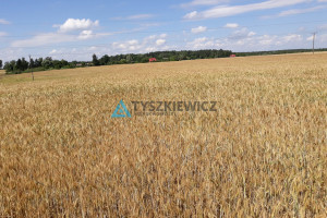 Działka na sprzedaż 105064m2 sztumski Sztum Koniecwałd - zdjęcie 3