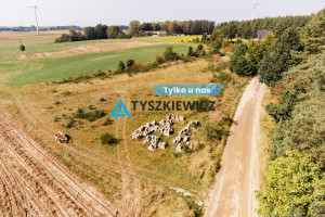 Działka na sprzedaż 4006m2 wejherowski Linia Pobłocie Długa - zdjęcie 1