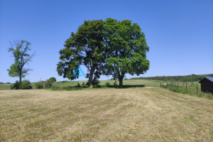 Działka na sprzedaż 1255m2 kościerski Karsin Cisewie - zdjęcie 2