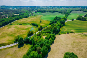 Działka na sprzedaż 6100m2 bytowski Tuchomie - zdjęcie 2