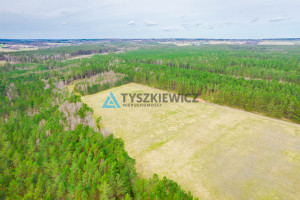 Działka na sprzedaż 34300m2 bytowski Trzebielino Zielin - zdjęcie 3