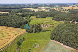 Działka na sprzedaż 8155m2 starogardzki Lubichowo Zielona Góra - zdjęcie 2