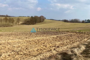 Działka na sprzedaż 1852m2 kościerski Stara Kiszewa Nowe Polaszki - zdjęcie 2