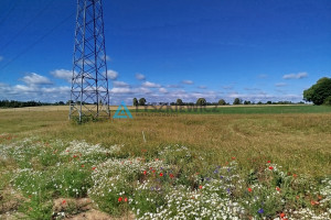 Działka na sprzedaż 3829m2 starogardzki Starogard Gdański Druha Józefa Grzybka - zdjęcie 2