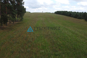 Działka na sprzedaż 35700m2 bytowski Czarna Dąbrówka Brzezinka - zdjęcie 2