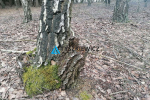 Działka na sprzedaż 39600m2 tucholski Śliwice Rosochatka - zdjęcie 1