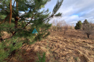 Działka na sprzedaż 3004m2 gdański Trąbki Wielkie Graniczna Wieś - zdjęcie 3