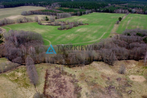 Działka na sprzedaż 13119m2 bytowski Miastko - zdjęcie 2