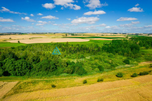 Działka na sprzedaż 6400m2 chojnicki Chojnice Ciechocin - zdjęcie 2