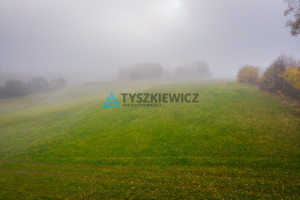 Działka na sprzedaż 11519m2 kościerski Liniewo - zdjęcie 4