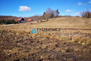 Działka na sprzedaż 2907m2 gdański Przywidz Gromadzin - zdjęcie 1