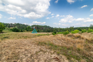 Działka na sprzedaż 1000m2 kościerski Dziemiany Raduń - zdjęcie 2