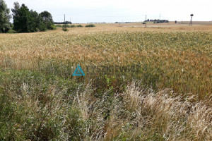 Działka na sprzedaż 105064m2 sztumski Sztum Koniecwałd - zdjęcie 4