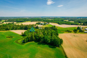 Działka na sprzedaż 11200m2 bytowski Parchowo Gołczewo - zdjęcie 2