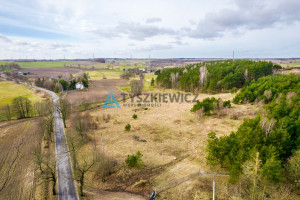 Działka na sprzedaż 13975m2 kościerski Nowa Karczma Grabowo Kościerskie Starowiejska - zdjęcie 2