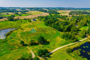 Działka na sprzedaż 1895m2 gdański Przywidz Stara Huta Koralowa - zdjęcie 3