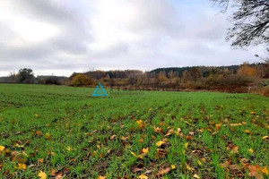 Działka na sprzedaż 3014m2 starogardzki Starogard Gdański Siwiałka - zdjęcie 2