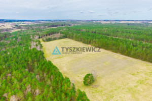 Działka na sprzedaż 34300m2 bytowski Trzebielino Zielin - zdjęcie 2