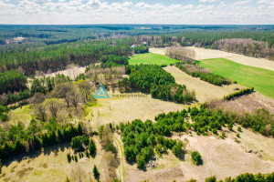 Działka na sprzedaż kościerski Stara Kiszewa Lipy - zdjęcie 2