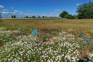 Działka na sprzedaż starogardzki Starogard Gdański Druha Józefa Grzybka - zdjęcie 1