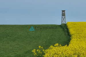 Działka na sprzedaż 44200m2 gdański Trąbki Wielkie Mierzeszyn - zdjęcie 2