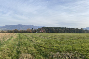 Działka na sprzedaż 6400m2 cieszyński Goleszów Kozakowice Dolne Biała - zdjęcie 2