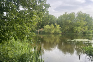 Dom na sprzedaż 70m2 płoński Joniec Królewo - zdjęcie 1