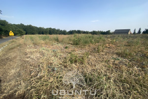 Działka na sprzedaż 7100m2 brzeziński Rogów Mroga Dolna - zdjęcie 2