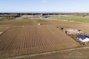 Działka na sprzedaż 2495m2 koszaliński Biesiekierz Stare Bielice - zdjęcie 2