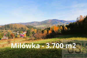 Działka na sprzedaż 3700m2 żywiecki Milówka - zdjęcie 2