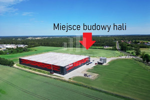 Komercyjne do wynajęcia 10000m2 starogardzki Starogard Gdański Koteże Płaczewska - zdjęcie 1