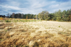 Działka na sprzedaż 1244m2 tucholski Śliwice - zdjęcie 2