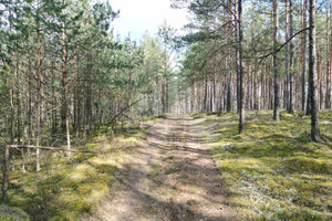 Działka na sprzedaż 12611m2 starogardzki Lubichowo Krępki - zdjęcie 1