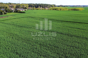 Działka na sprzedaż 3494m2 wejherowski Choczewo Borkowo Lęborskie - zdjęcie 3