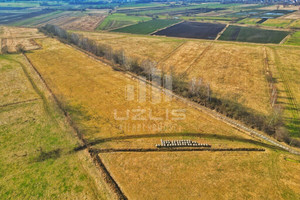 Działka na sprzedaż 50182m2 gdański Pruszcz Gdański Lędowo - zdjęcie 1