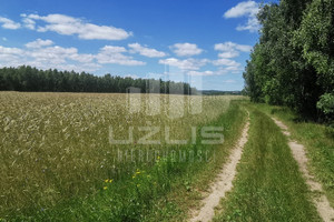 Działka na sprzedaż kościerski Liniewo Wysin - zdjęcie 1