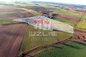 Działka na sprzedaż 59600m2 starogardzki Lubichowo Budy - zdjęcie 1